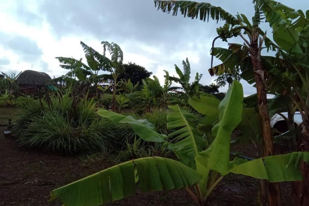 Rapa Nui Exploraciones Hanga Roa